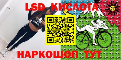 a pvp Долгопрудный