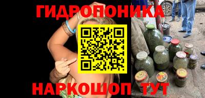 a pvp Долгопрудный