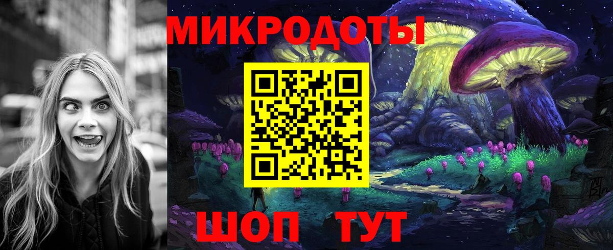 Псилоцибиновые грибы Psilocybe Мурманск