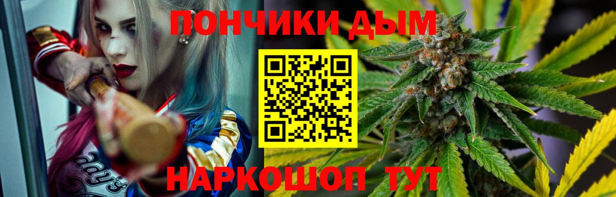 Шишки марихуана сатива Мурманск